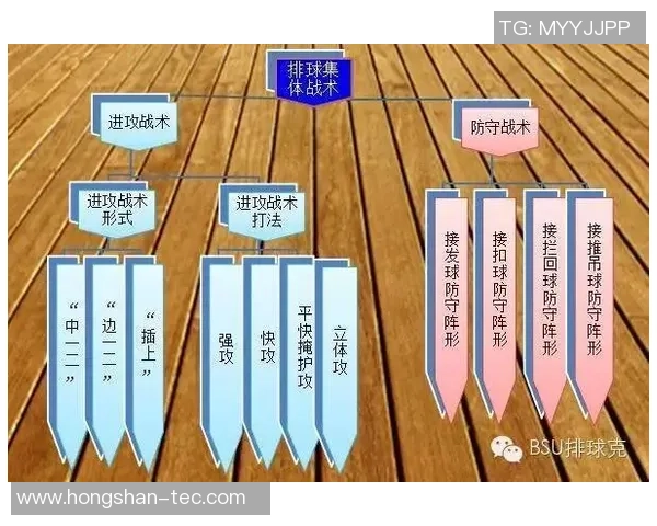 广州排球队反击战术分析与赛季表现的得失评估